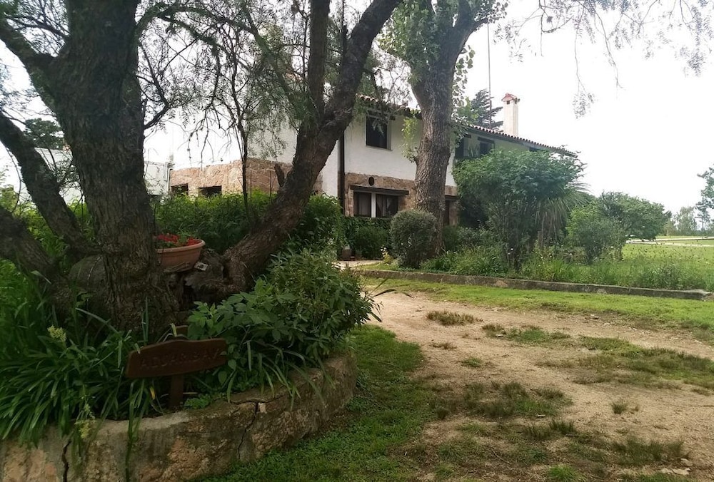 La Domanda