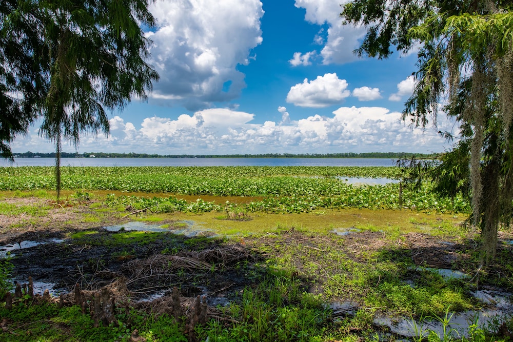 Sebring Vacations - Buttonwood Bay RV Resort - Property Image 11
