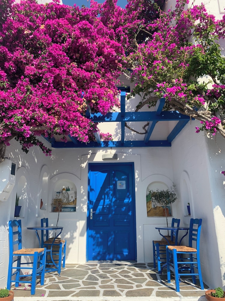 Pelagos Studios