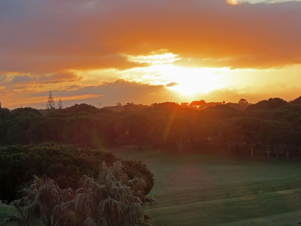 Photo 177