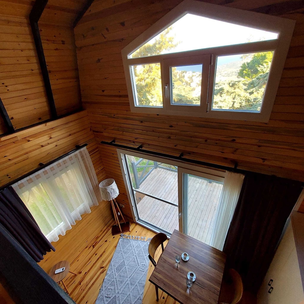 Sole Foca ( Ages 12+ )