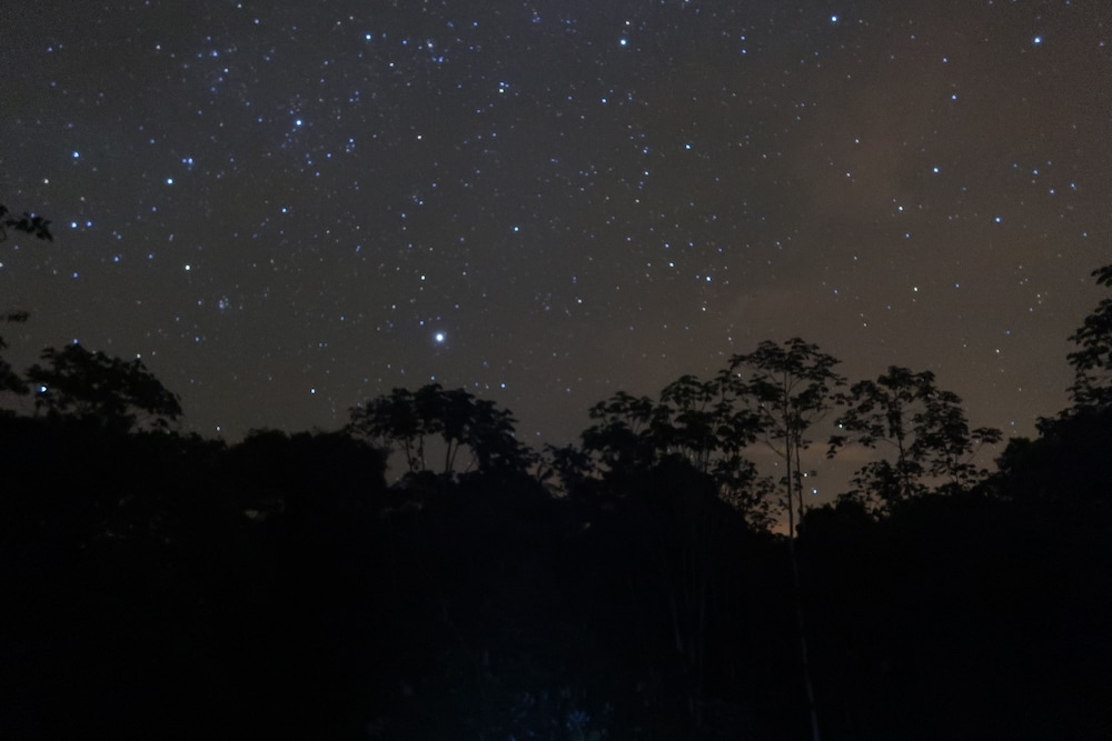 Green forest Ecolodge