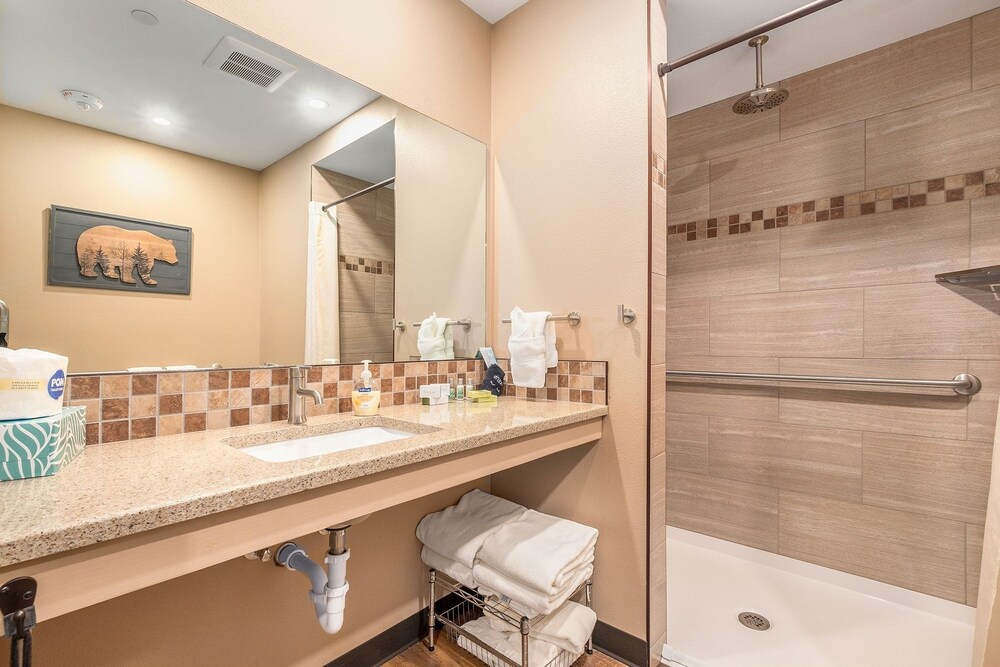 Solitude Bear Room Ada 103 - Estes Park 1 Bedroom Studio by RedAwning - Property Image 14