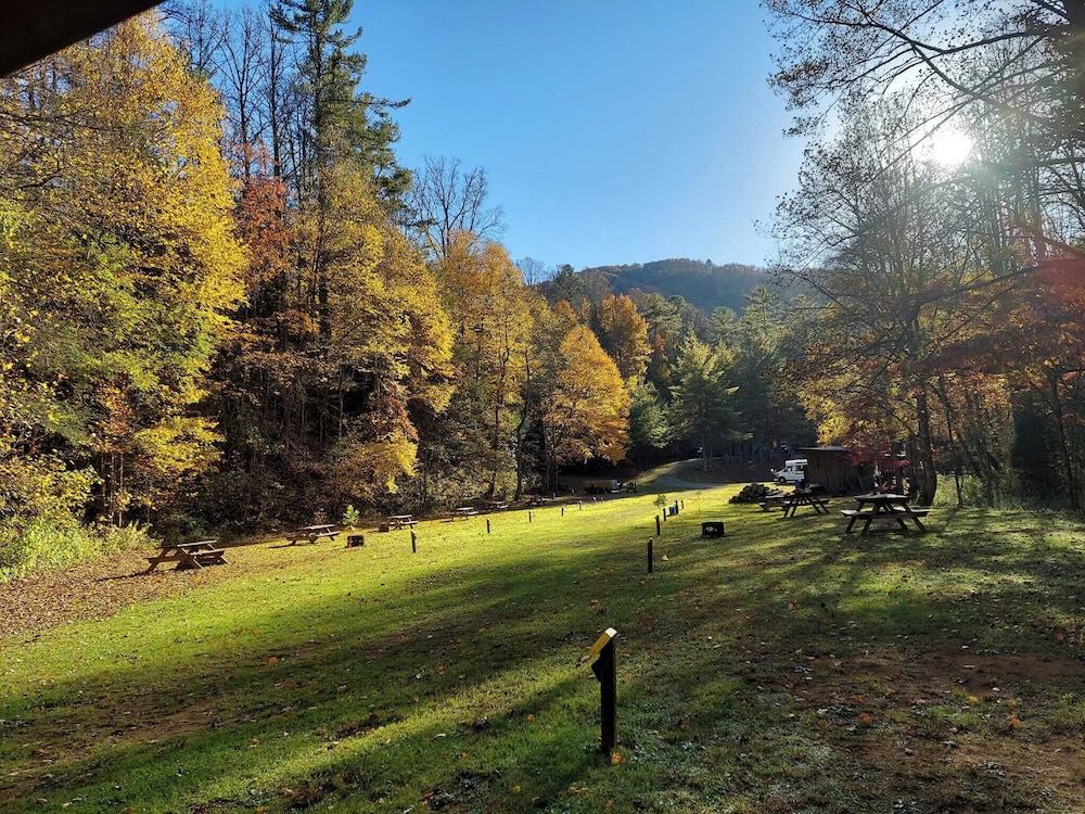 Black Bear Resort