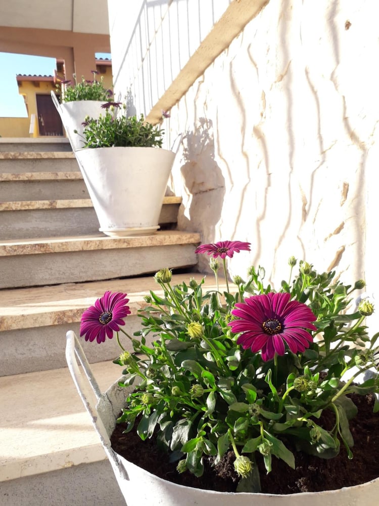 B&B Il Vaso di Creta photo 4