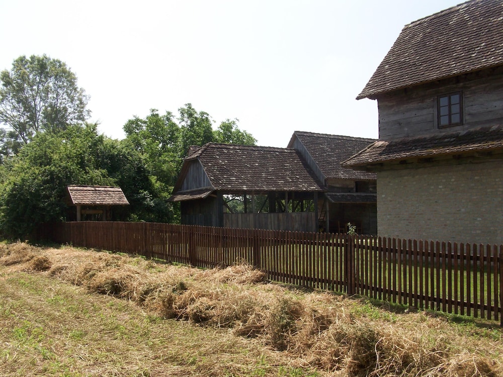 Photo 20