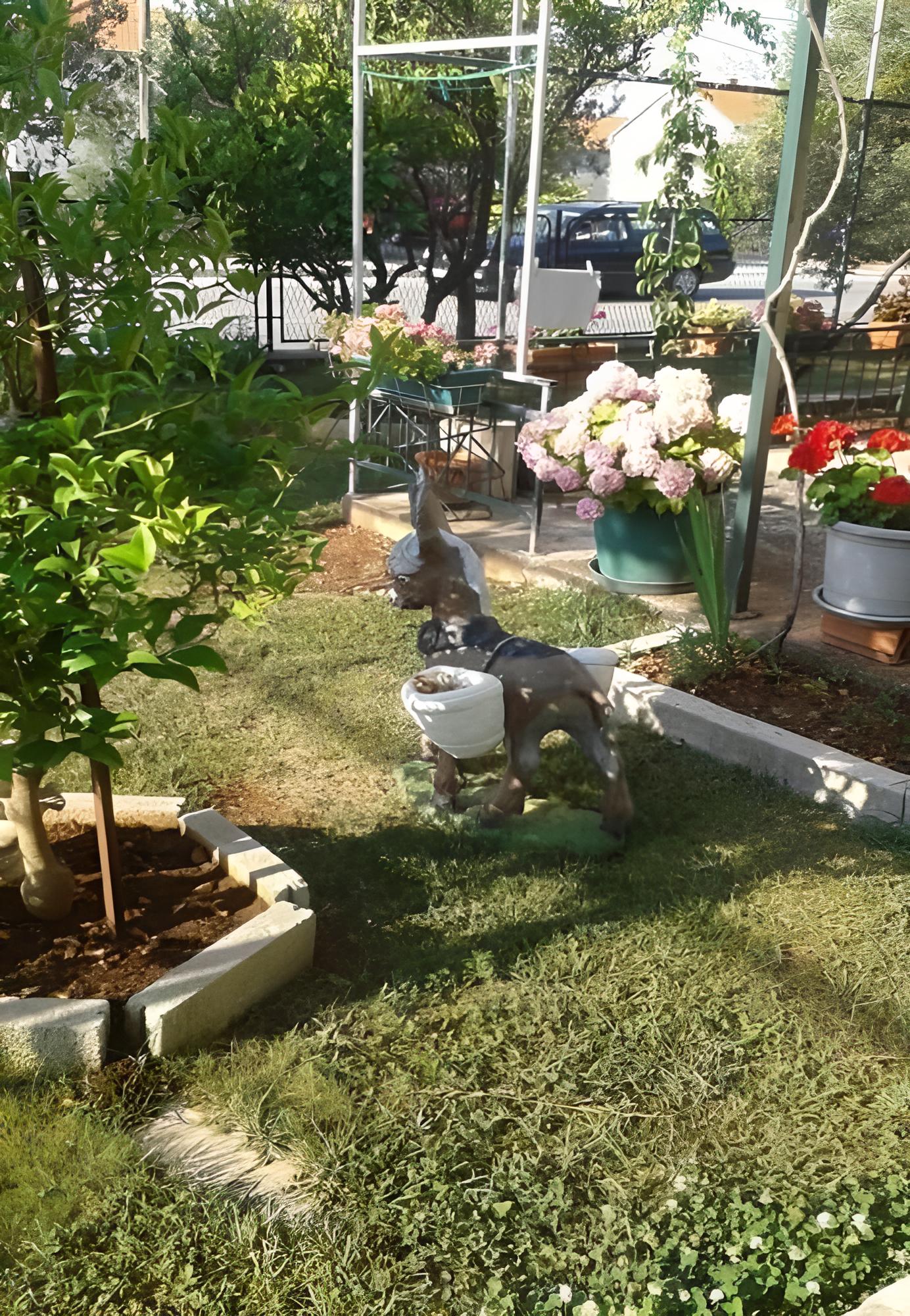 Photo 16