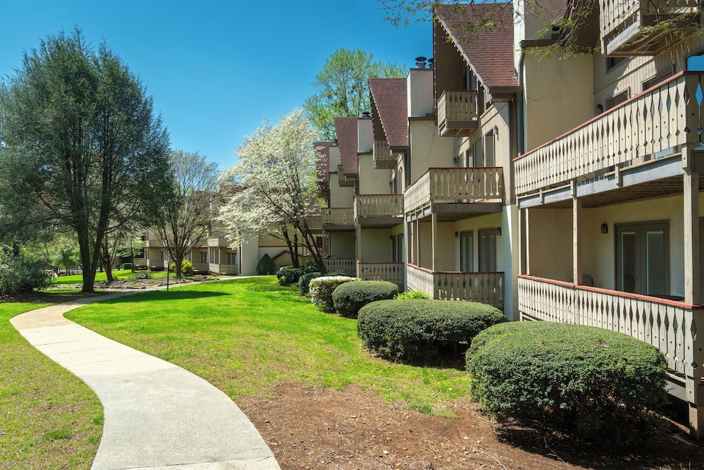 Loreley Resort