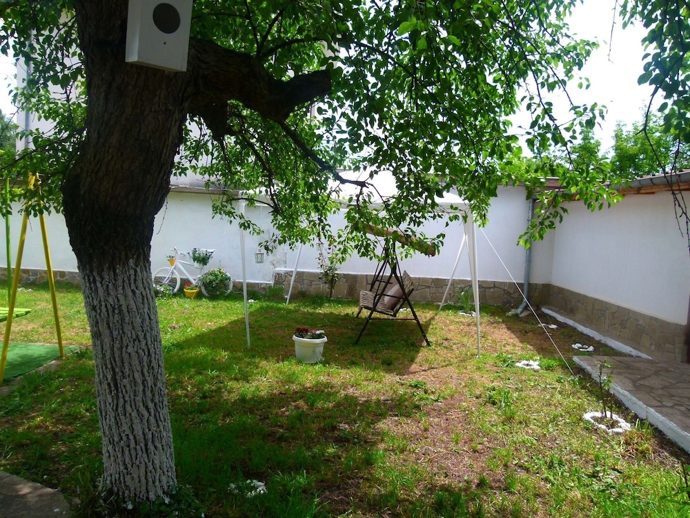 Photo 25