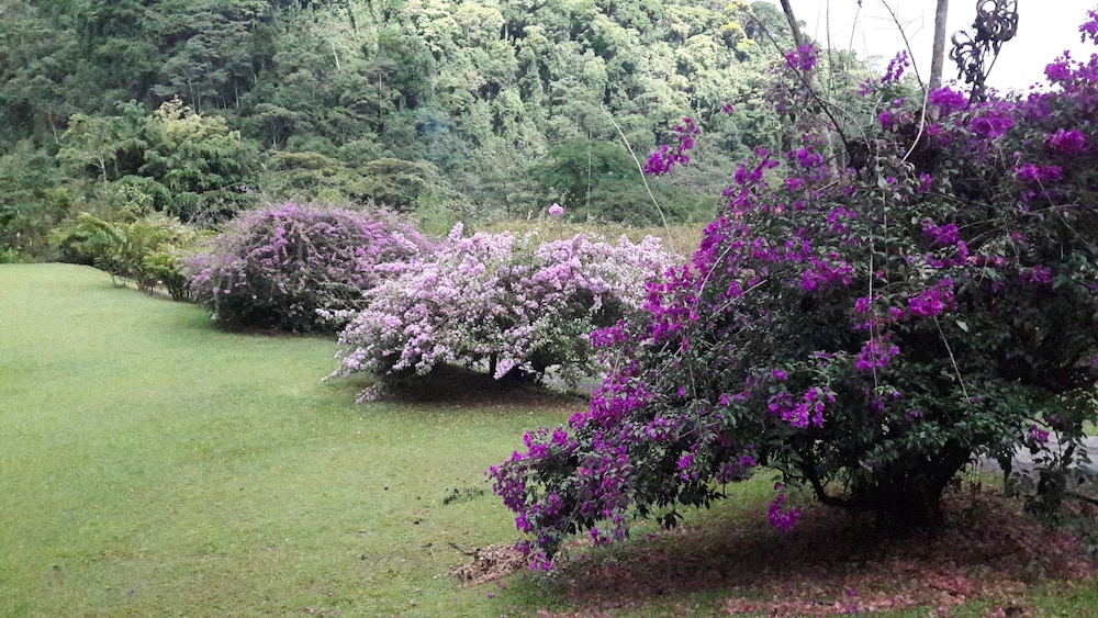 Rancho Margot