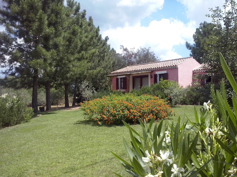 Photo 45