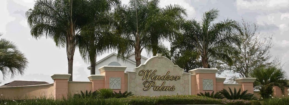 Sun Palm Paradise