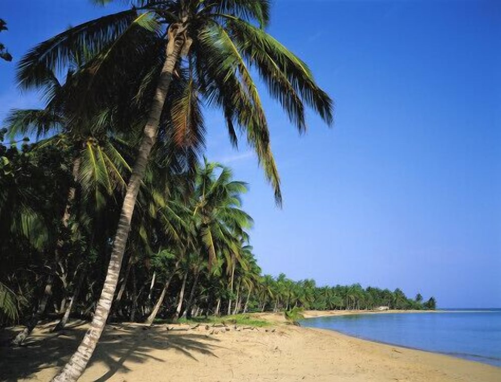 Punta Cana Hostel