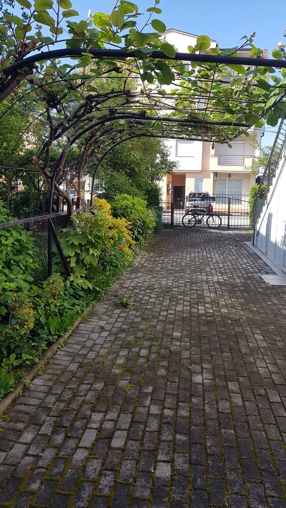 Photo 40