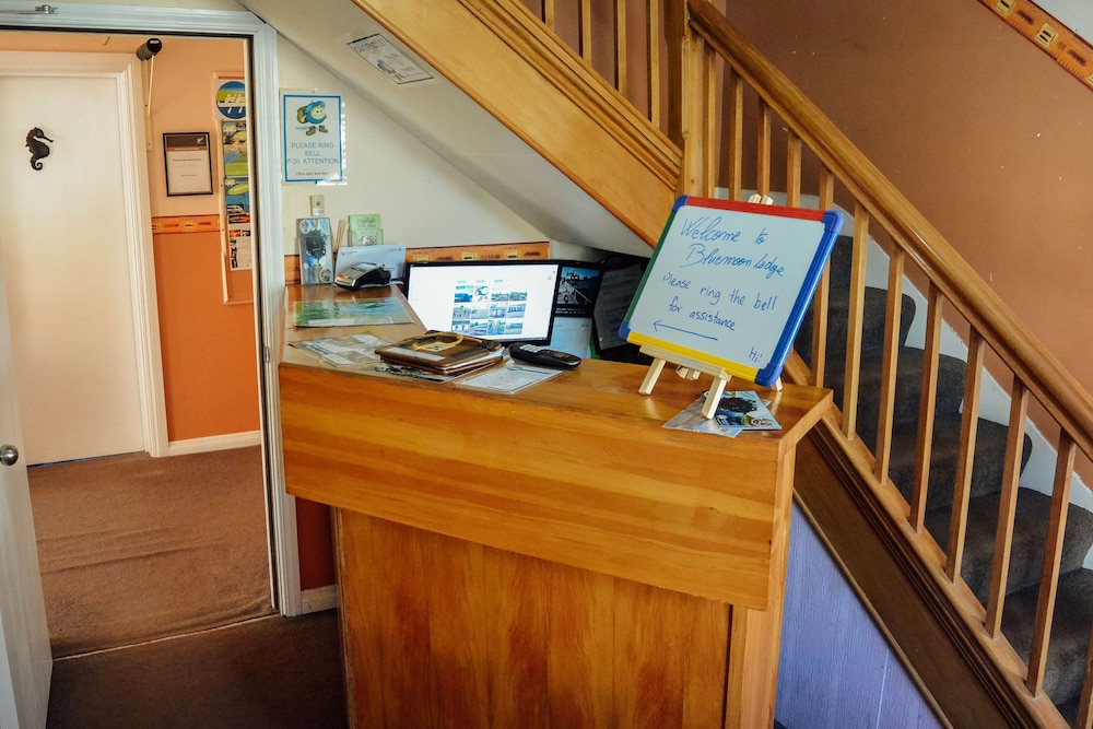 Bluemoon Lodge - Hostel