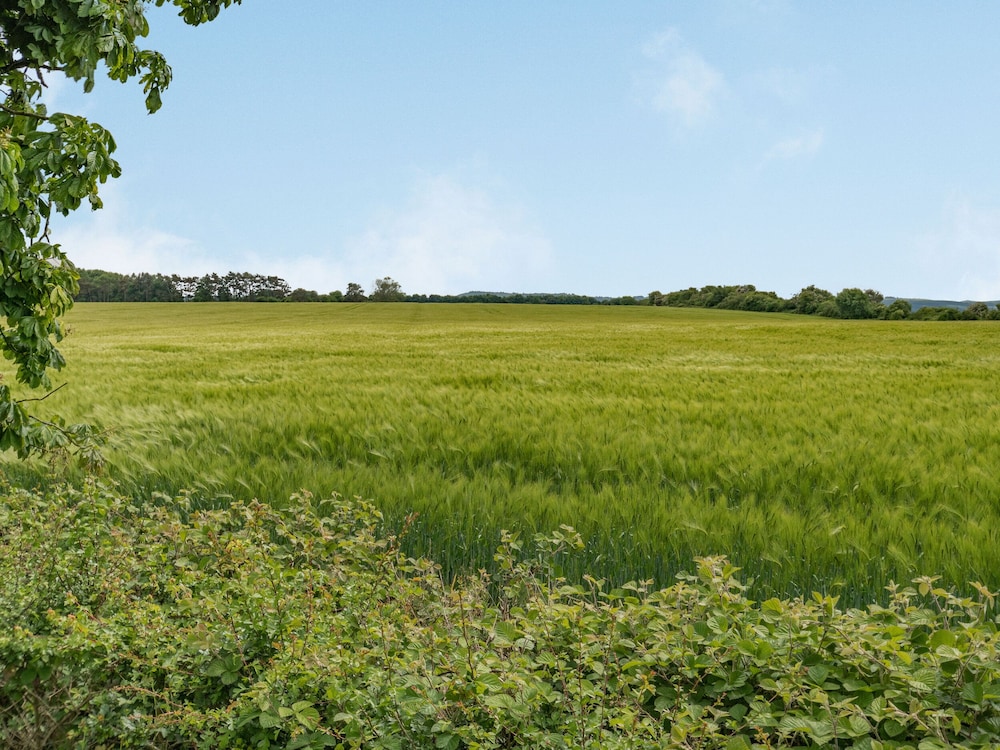 Marlborough Vacations - Chasewoods Farm Cottage - Property Image 12