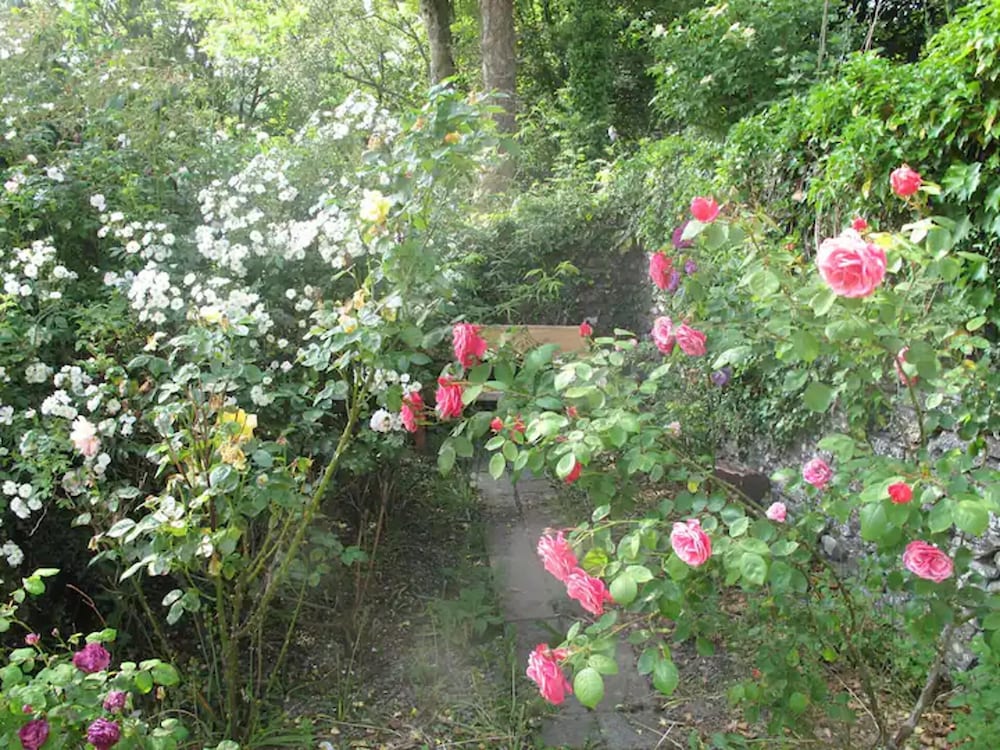 Photo 8