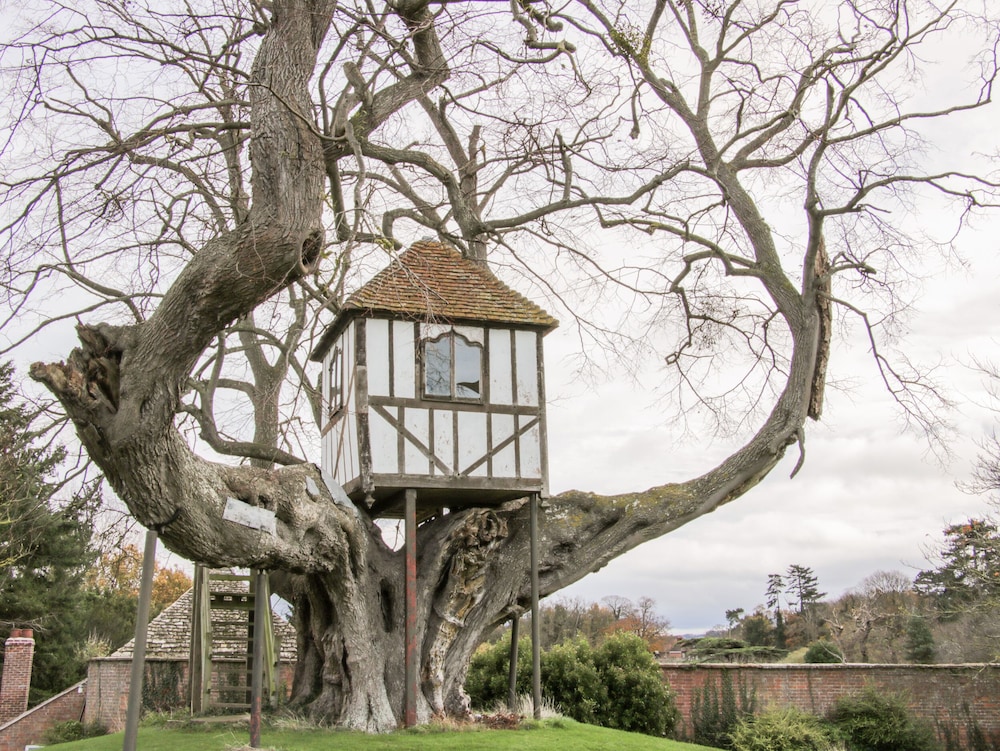 Tree House Barn