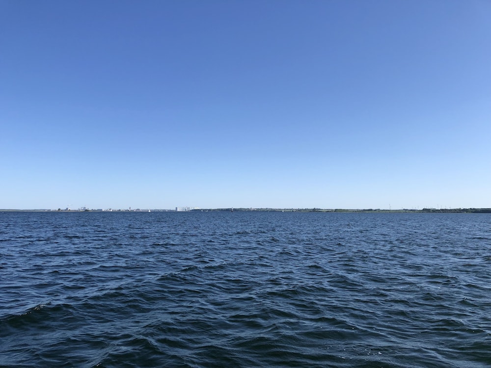 Ostseekrabbe