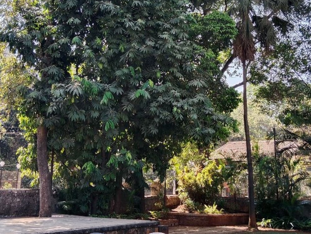 Hotel Mangal Residency