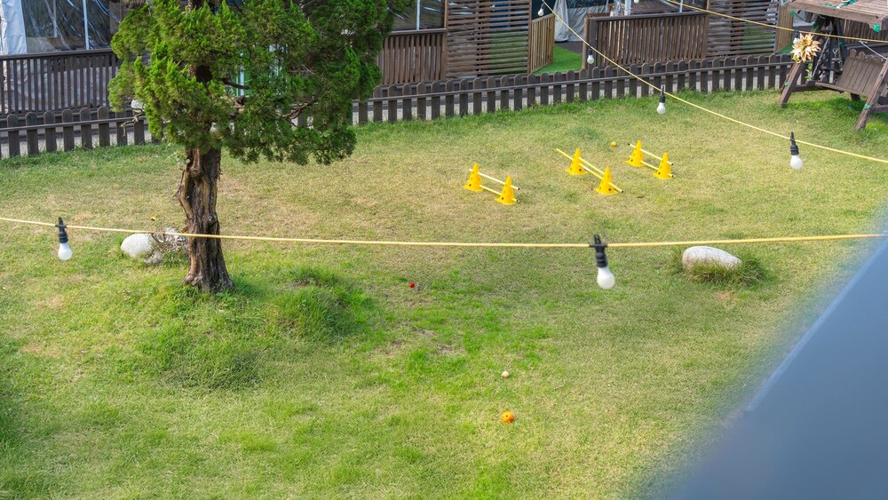 Gangneung Nineone Pet Pension