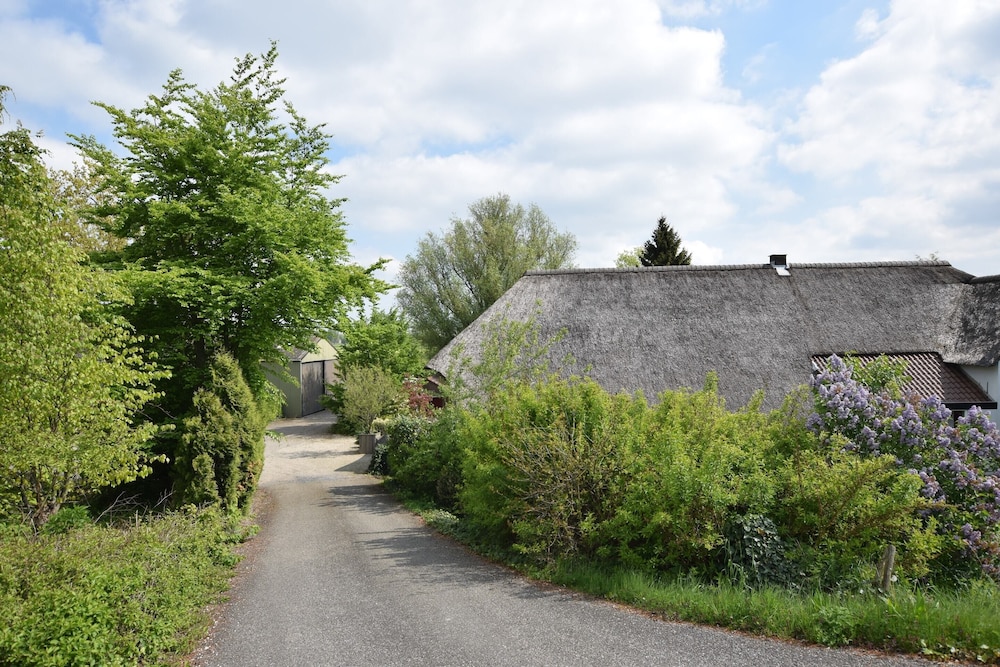 Quaint Farmhouse near River in Oosterwijk view 3