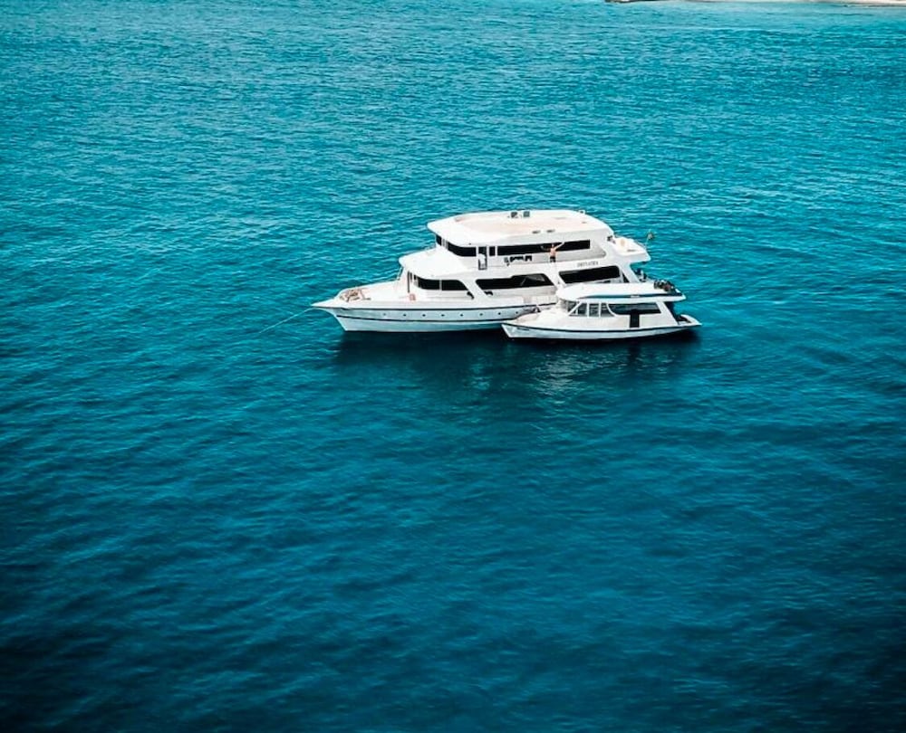 The Maverick Surf and Dive Boutique Hotel
