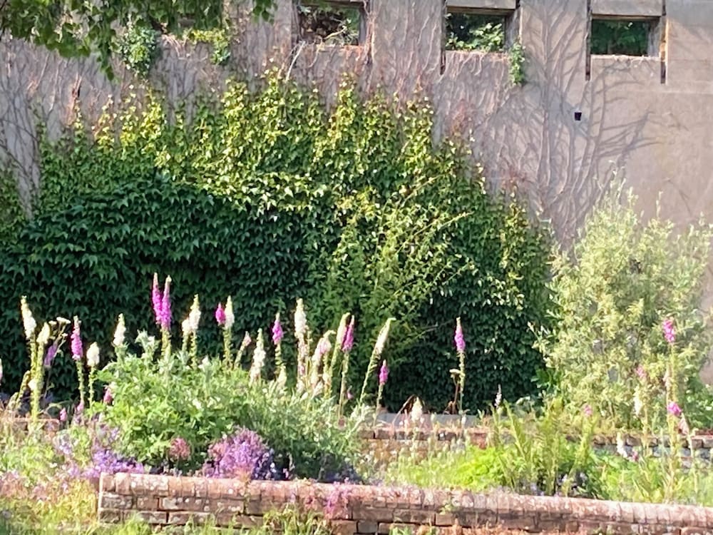 The Walled Garden