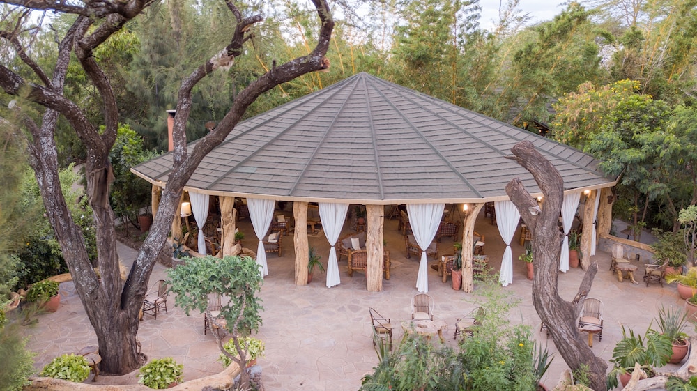 Kibo Safari Camp