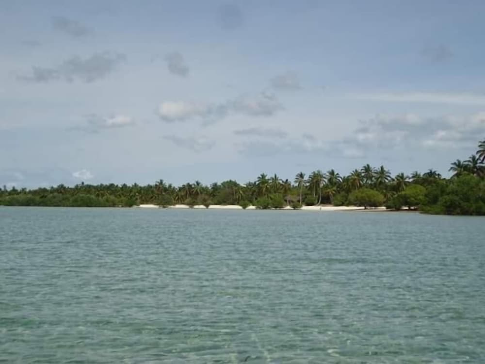 Photo 29