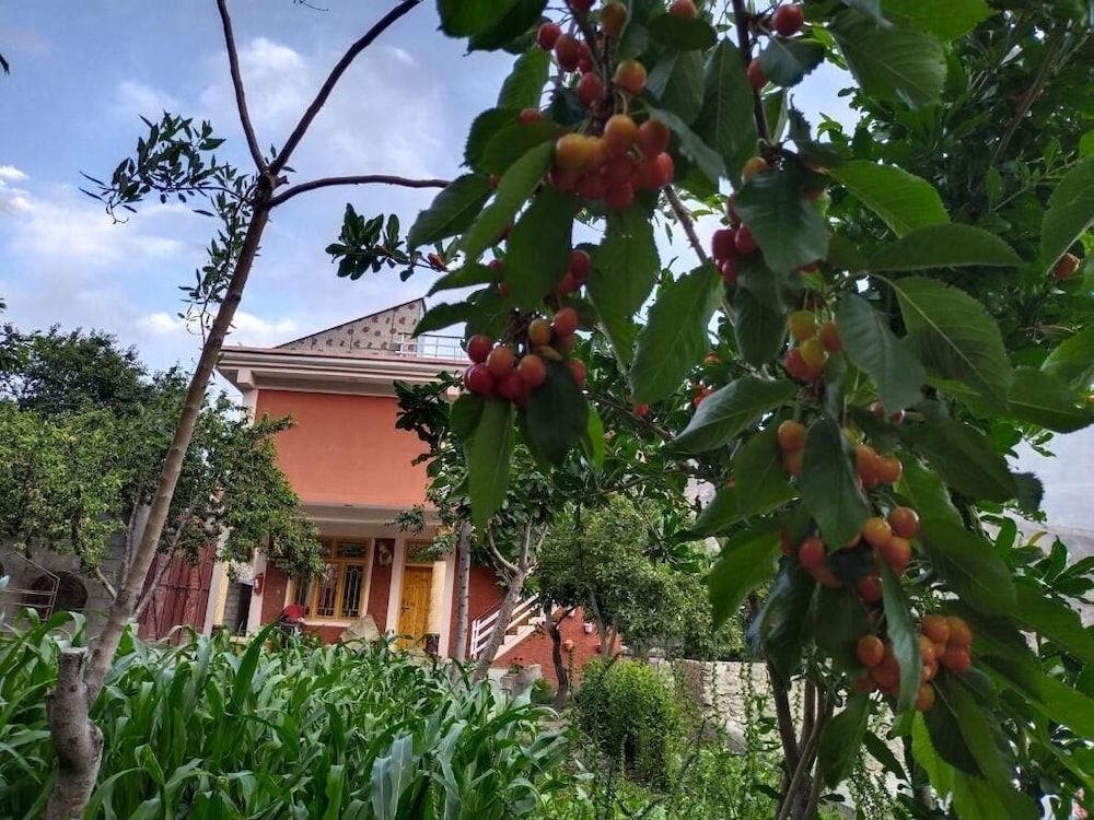 MasakAli Family Guest House view 3