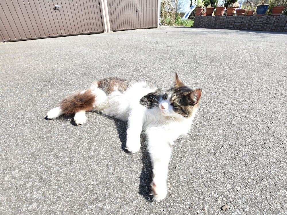 other
