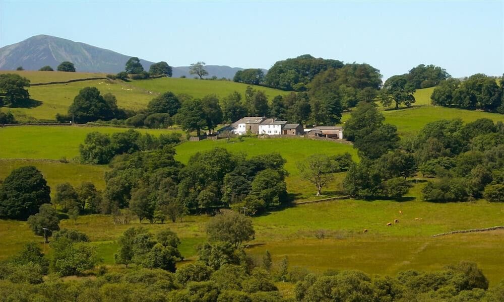Nest Barn