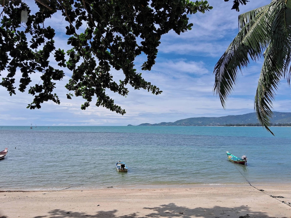 @ Samui Haus