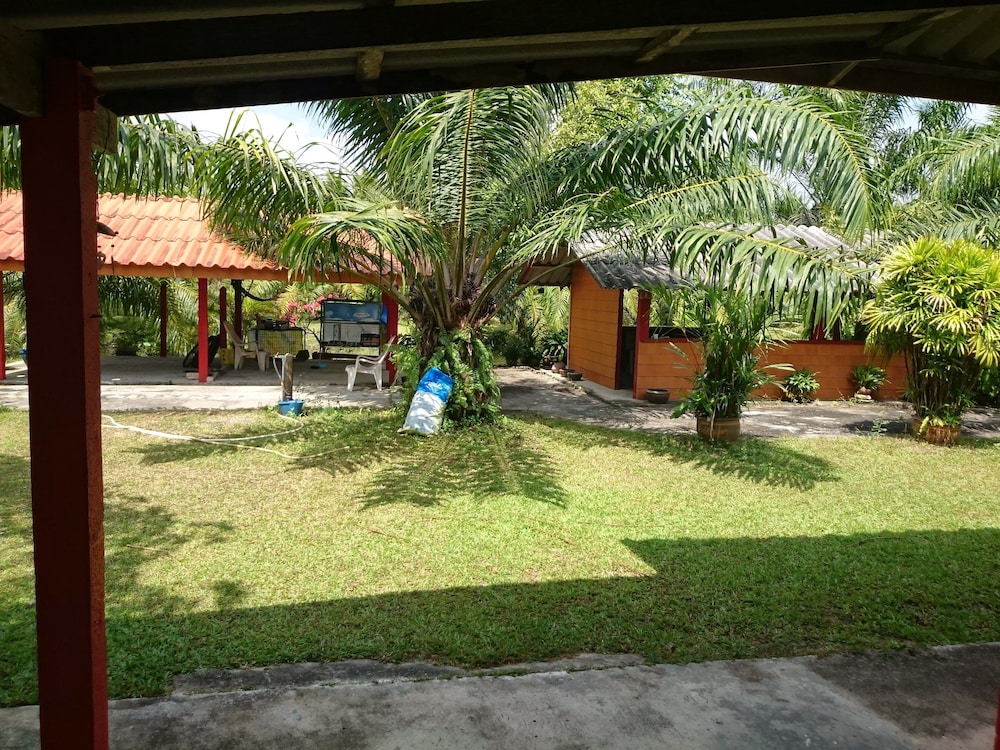 Coconut Valley Bed & Breakfast view 5