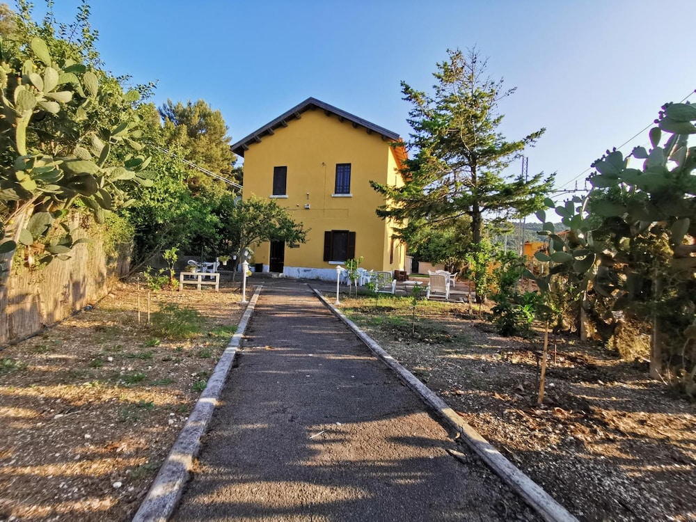 Photo 20