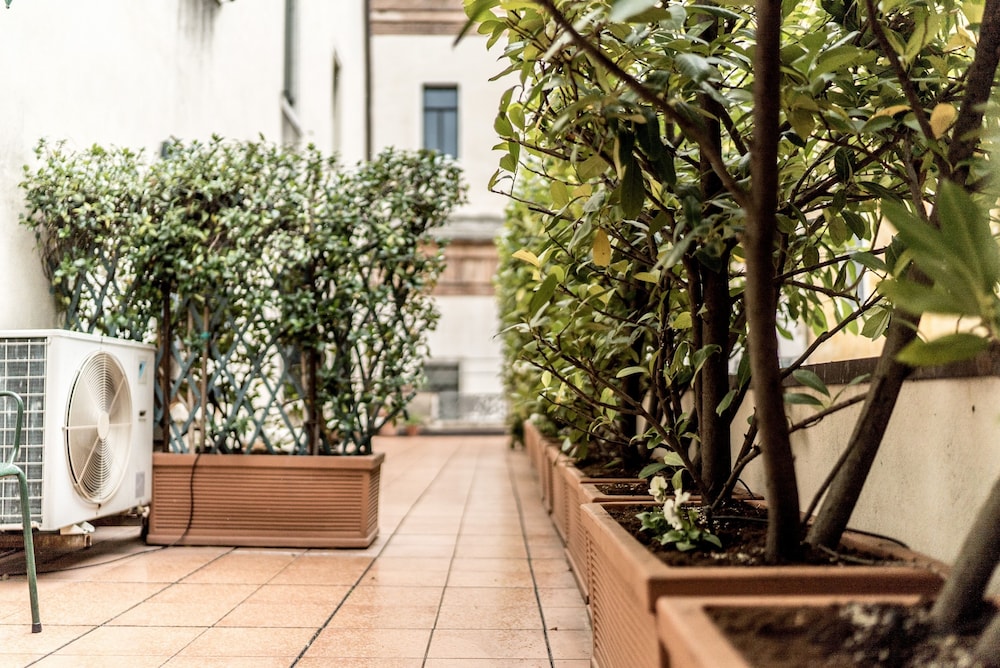 Accademia Terrazza