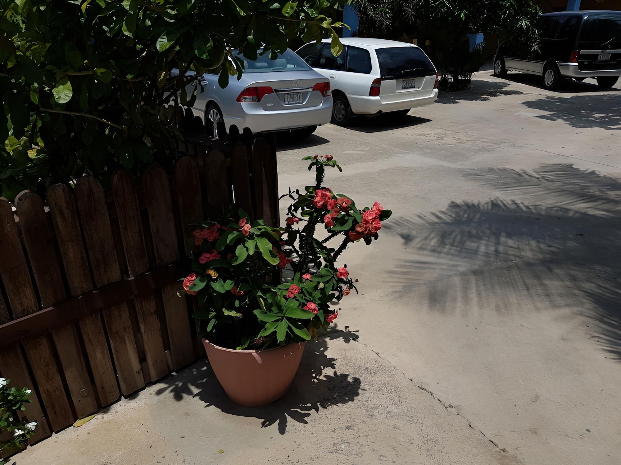 Apartamentos Cecil Paradise