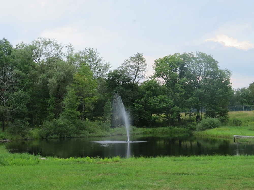 Photo 43