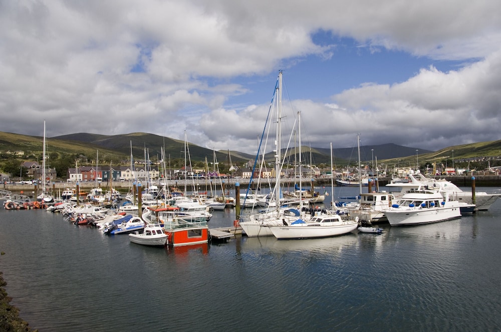 Dingle Bay View