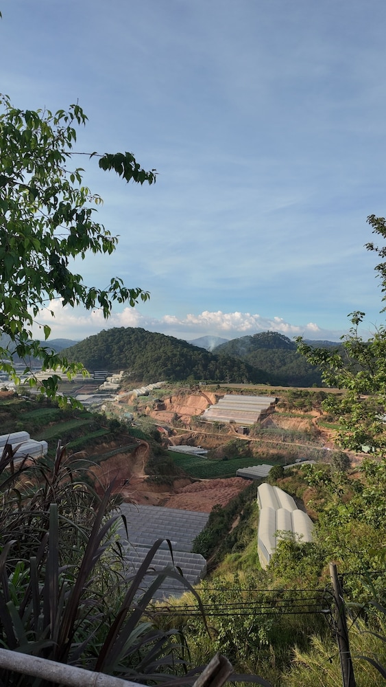DaLart Glamping & Coffee