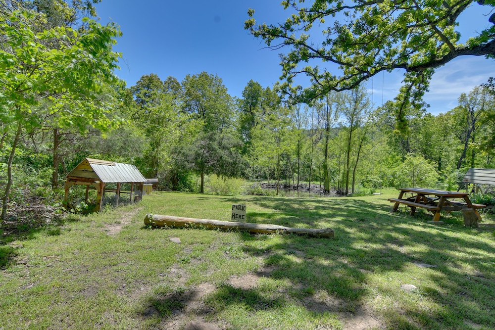 Serene Green Forest Hideaway w/ Spacious Yard view 4
