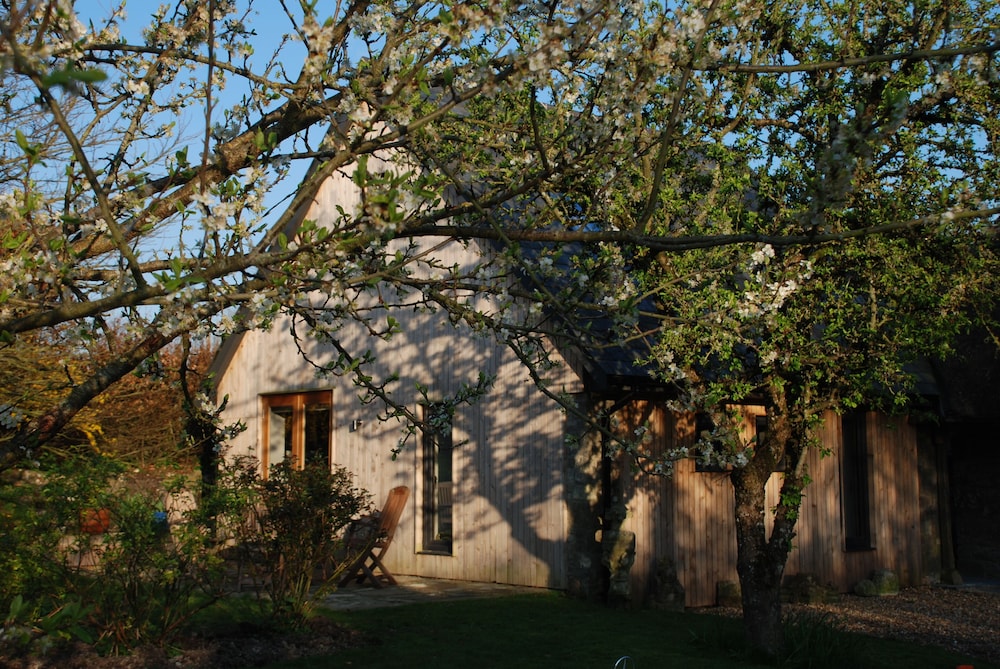 Photo 28