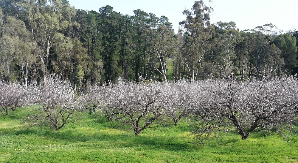 Taralee Orchards