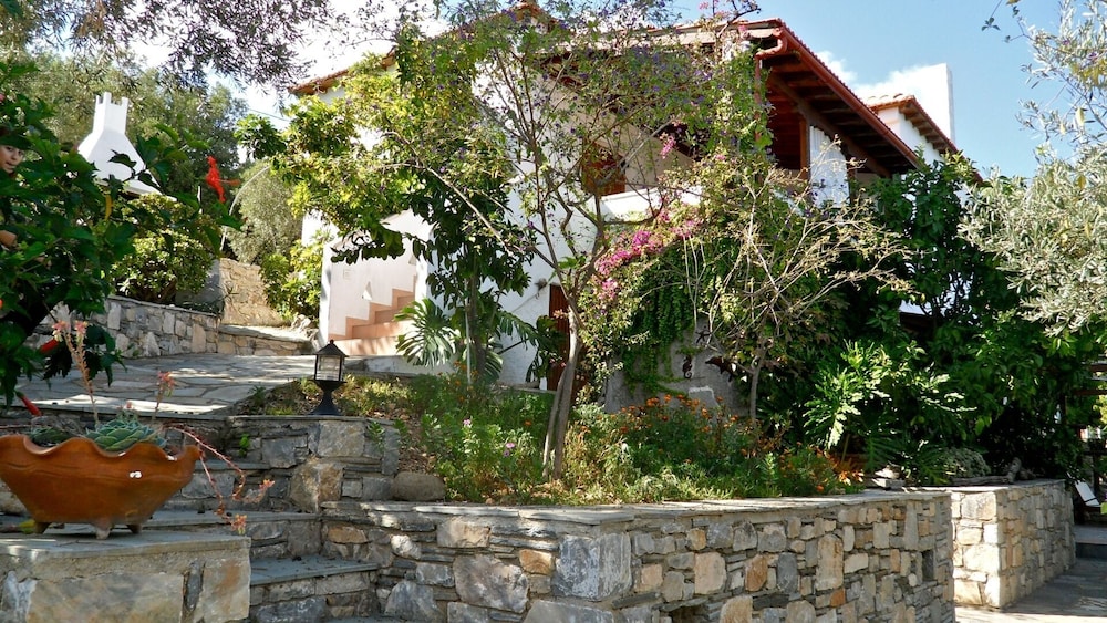 Photo 12