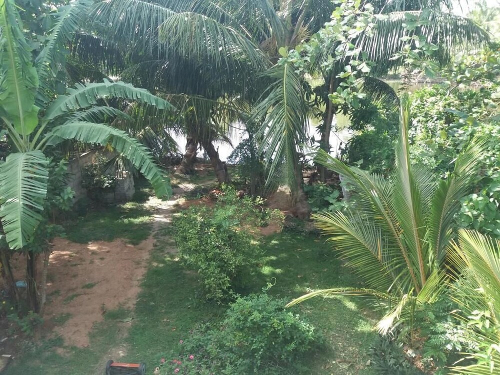Photo 21