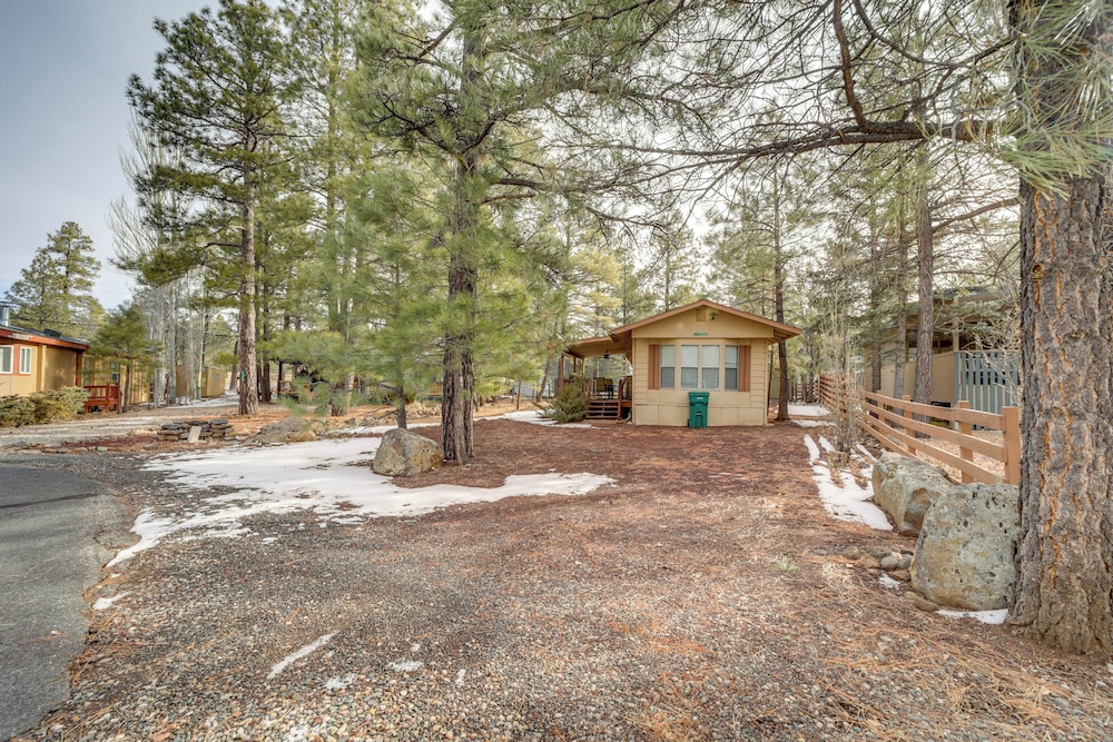 Near Hiking Trails: Tranquil Cabin in Munds Park!