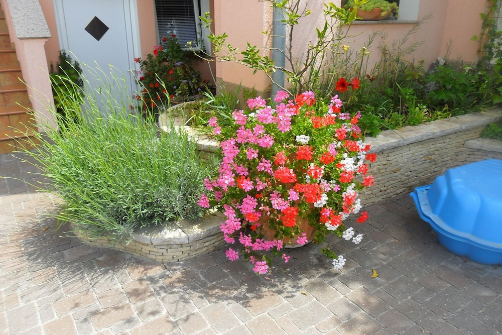Marinka - With Backyard - A2 view 2