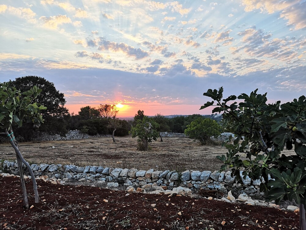 Masseria Poesia