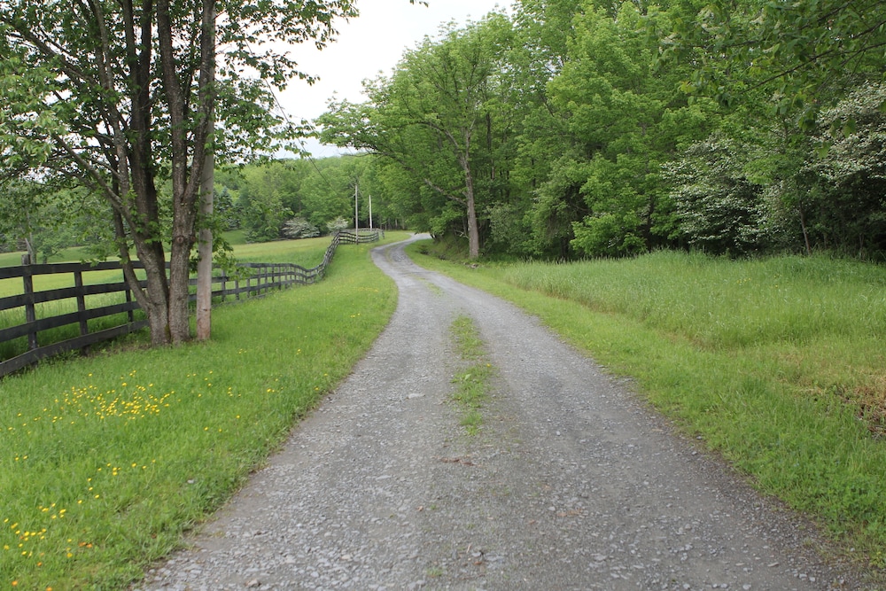 Photo 47